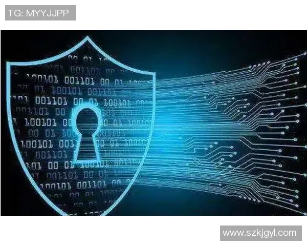 网络黑客威胁下的赛事安全与个人信息保护策略探讨